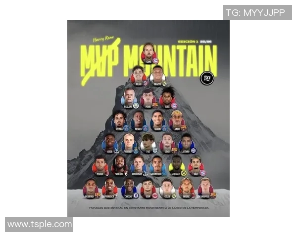 加纳足球明星球员实力排名及其在国际赛场上的表现分析